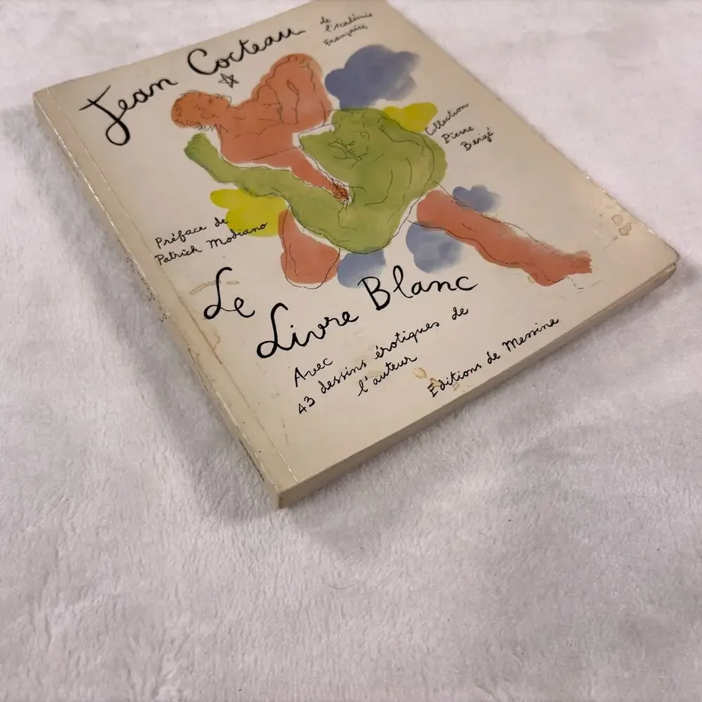 Jean Cocteau Le Livre Blanc 43 Erotic Drawings French Messine Used Rare!